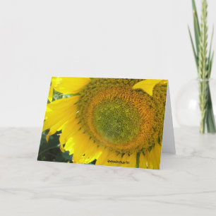 Zonnebloem: een zonnige dag. kaart