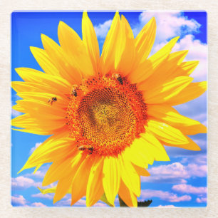 Zonnebloem en bijenglas Onderzetter Glazen Onderzetter