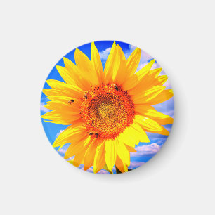 Zonnebloem en bijenmagneet magneet