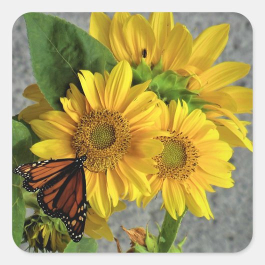 Zonnebloem en Monarch Vlinder Stickers (Voorkant)