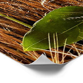 Zonnebloem en tarwe poster (Hoek)