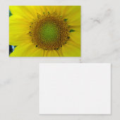 Zonnebloem en zaaigoed, spiraal, goudverhouding informatiekaartje (Voorkant / Achterkant)