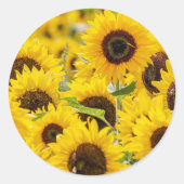 Zonnebloem envelop afdichting Stickers (Voorkant)