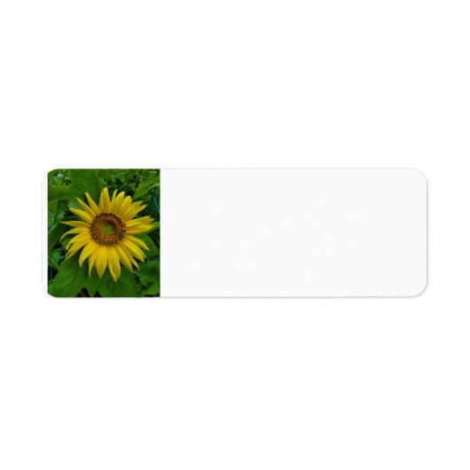 Zonnebloem Etiket (Voorkant)