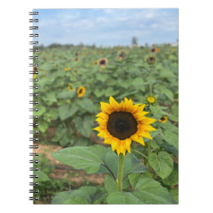 Zonnebloem Field Photograph Boerderij Notitieboek