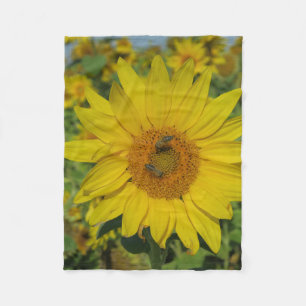zonnebloem fleece deken