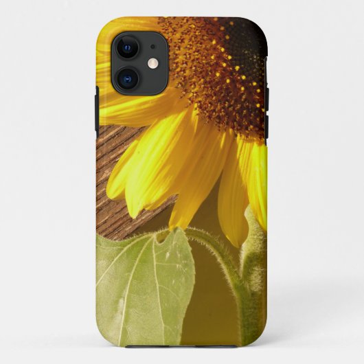 Zonnebloem Foto Case-Mate iPhone Case (Achterkant)