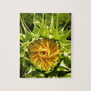 Zonnebloem foto legpuzzel