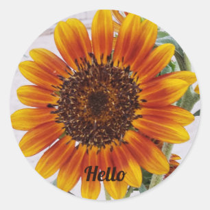Zonnebloem Foto met Gele Oranje gradiëntkleur Ronde Sticker