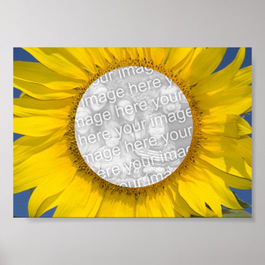 Zonnebloem Foto Poster (Voorkant)