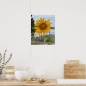 Zonnebloem Foto-Poster Poster (Keuken)