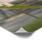 Zonnebloem Foto-Poster Poster (Hoek)