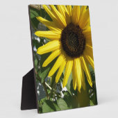 Zonnebloem Fotoplaat (Zijkant)