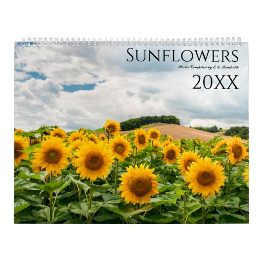 Zonnebloem Fotowandkalender 2025 Kalender (Hoes)