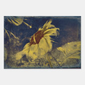 Zonnebloem Geel Blauw Schets Antiek Inpakpapier Vel (Voorkant)