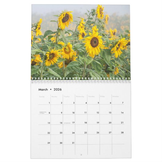 Zonnebloem Geel Rustiek Land Mooi 2024 Kalender (Mar 2026)