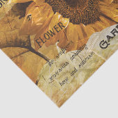 Zonnebloem Geel Schitterend Land Ephemeron Manuscr Tissuepapier (Detail)