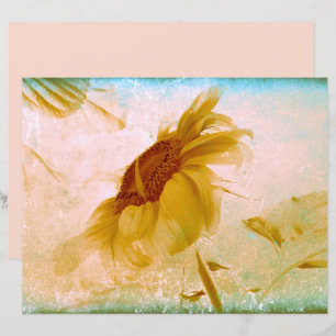 Zonnebloem Geel Sepia Antiek textuur