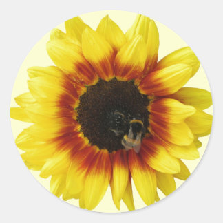 Zonnebloem geel Sinaasappel met hommel en stuifmee Ronde Sticker