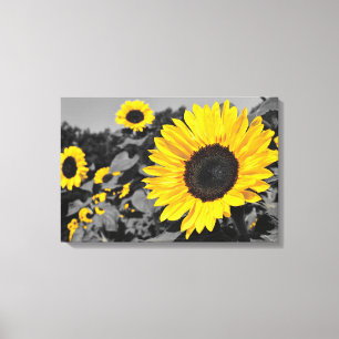 Zonnebloem: Gele plons van kleur Canvas Afdruk