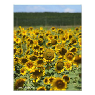 Zonnebloem glimlachen - 11x14 foto's afdrukken foto afdruk