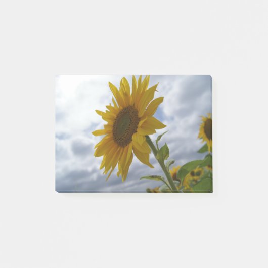 Zonnebloem Glory Post-it® Notes (Voorkant)