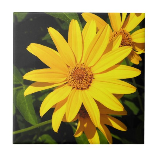 Zonnebloem gouden decoratieve Tegel Tegeltje (Voorkant)