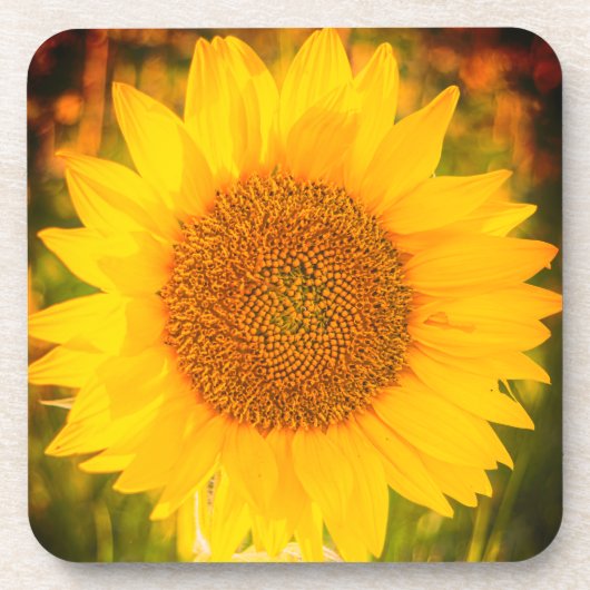 "Zonnebloem" Harde plastic onderzetter (Voorkant)