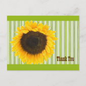 Zonnebloem Hartelijk dank, Stripe Border en Backgr Briefkaart (Voorkant)