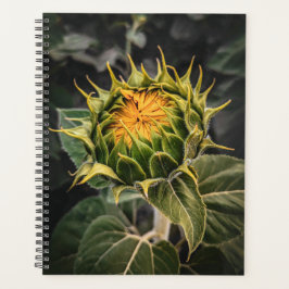 Zonnebloem in Bloom Planner