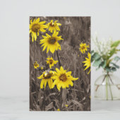 Zonnebloem in de Rocky Mountain Briefpapier (Staand voorkant)