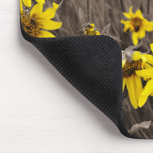 Zonnebloem in de Rocky Mountain Muismat (Hoek)