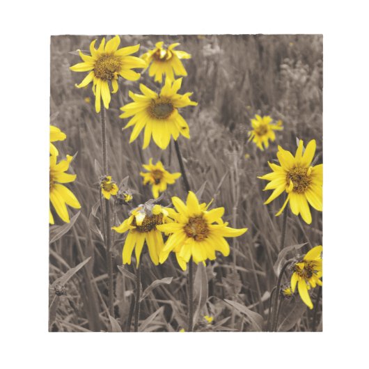 Zonnebloem in de Rocky Mountain Notitieblok (Voorkant)