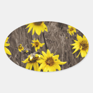 Zonnebloem in de Rocky Mountain Ovale Sticker
