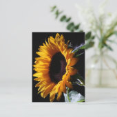 Zonnebloem in studio 1 briefkaart (Staand voorkant)