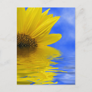 Zonnebloem in water briefkaart