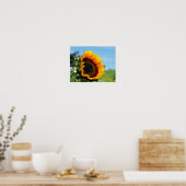 Zonnebloem in zonnebloem-ortoneffect poster (Keuken)