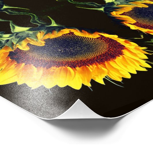 Zonnebloem in Zonneschijn Abstracte Bloem Art 8x10 Foto Afdruk (Hoek)