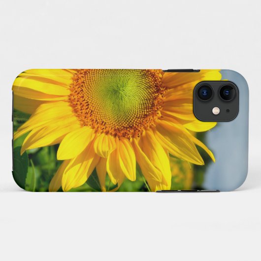 Zonnebloem iPhone 5 hoesje (Achterkant (horizontaal))