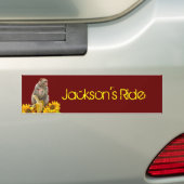 Zonnebloem Kaapse Bumpersticker (Op auto)