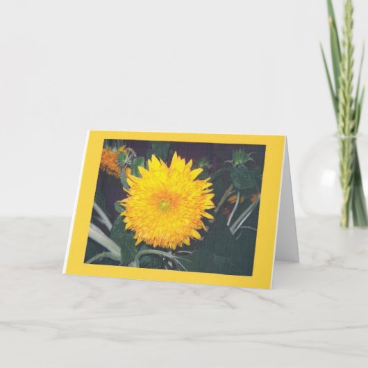 ZONNEBLOEM KAART (Voorkant)