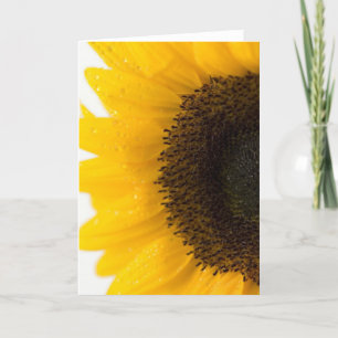 zonnebloem kaart