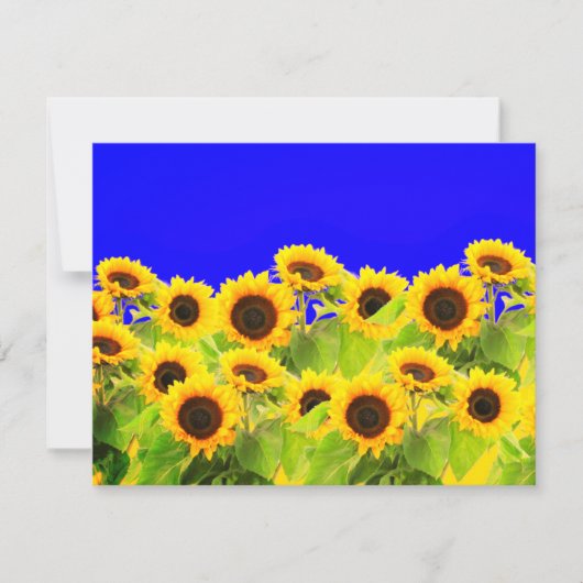 Zonnebloem Kaart Oekraïense vlag kleuren - Freedom (Voorkant)