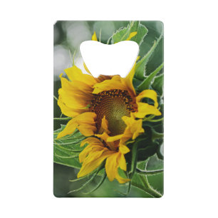 Zonnebloem Kredietkaart Flessenopener
