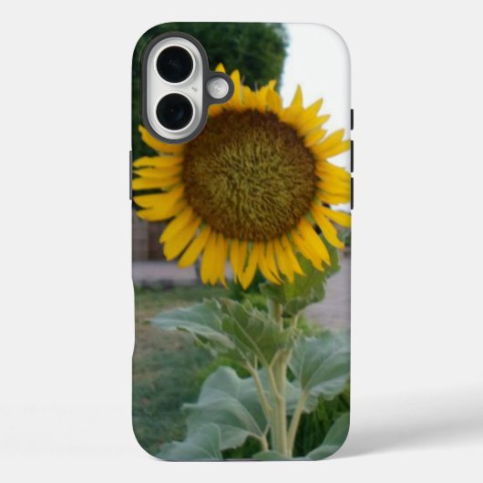 Zonnebloem Kunst Afdrukken Case-Mate iPhone Case (Achterkant)