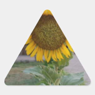 Zonnebloem Kunst Afdrukken Driehoek Sticker