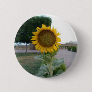 Zonnebloem Kunst Afdrukken Ronde Button 5,7 Cm