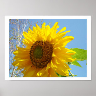 Zonnebloem kunstprint Bright Summer Geel Bloemmoti Poster