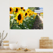 Zonnebloem Lane Poster (Keuken)