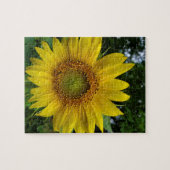 Zonnebloem Legpuzzel (Horizontaal)